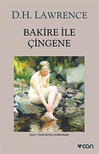 Bakire ile çingene roman