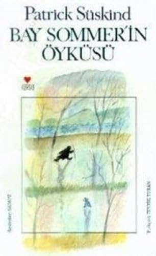 Bay Sommer'in öyküsü roman