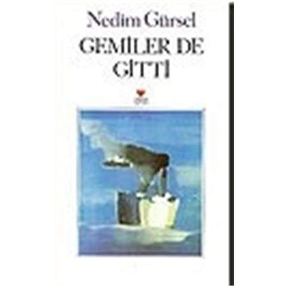 Gemiler de gitti gezi izlenimleri