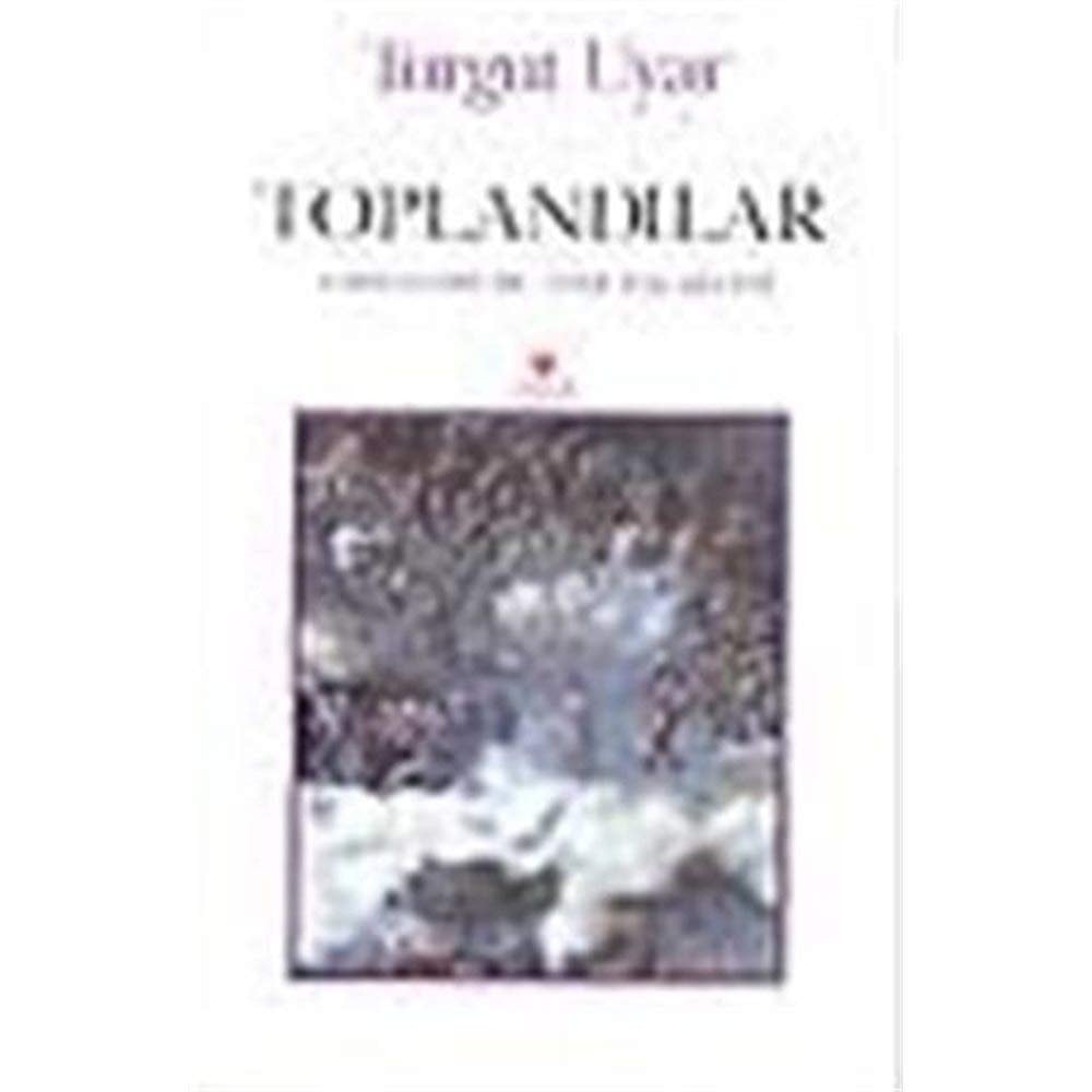Toplandılar şiir