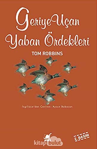 Geriye Ucan Yaban Ördekleri