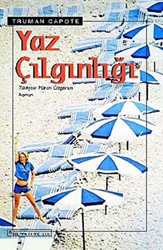 Yaz çılgınlığı roman
