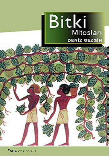 Bitki mitosları