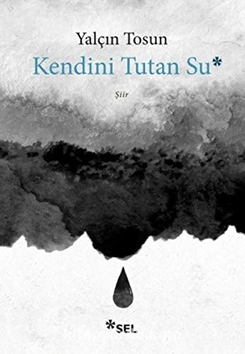 Kendini tutan su şiir