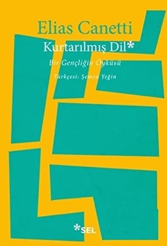 Kurtarılmış dil bir gençliğin öyküsü