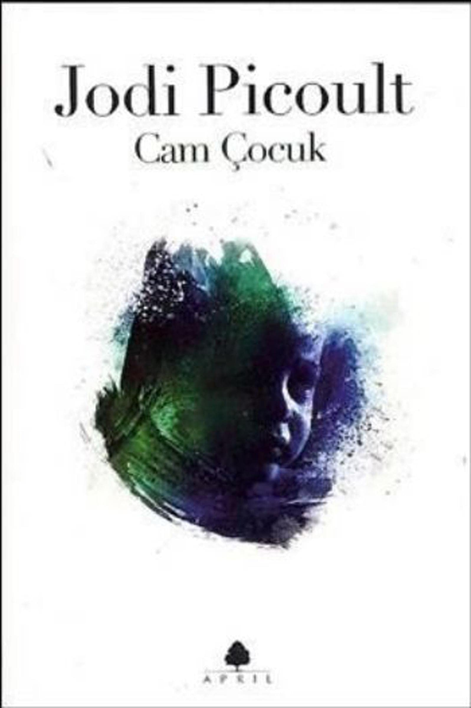 Cam Cocuk