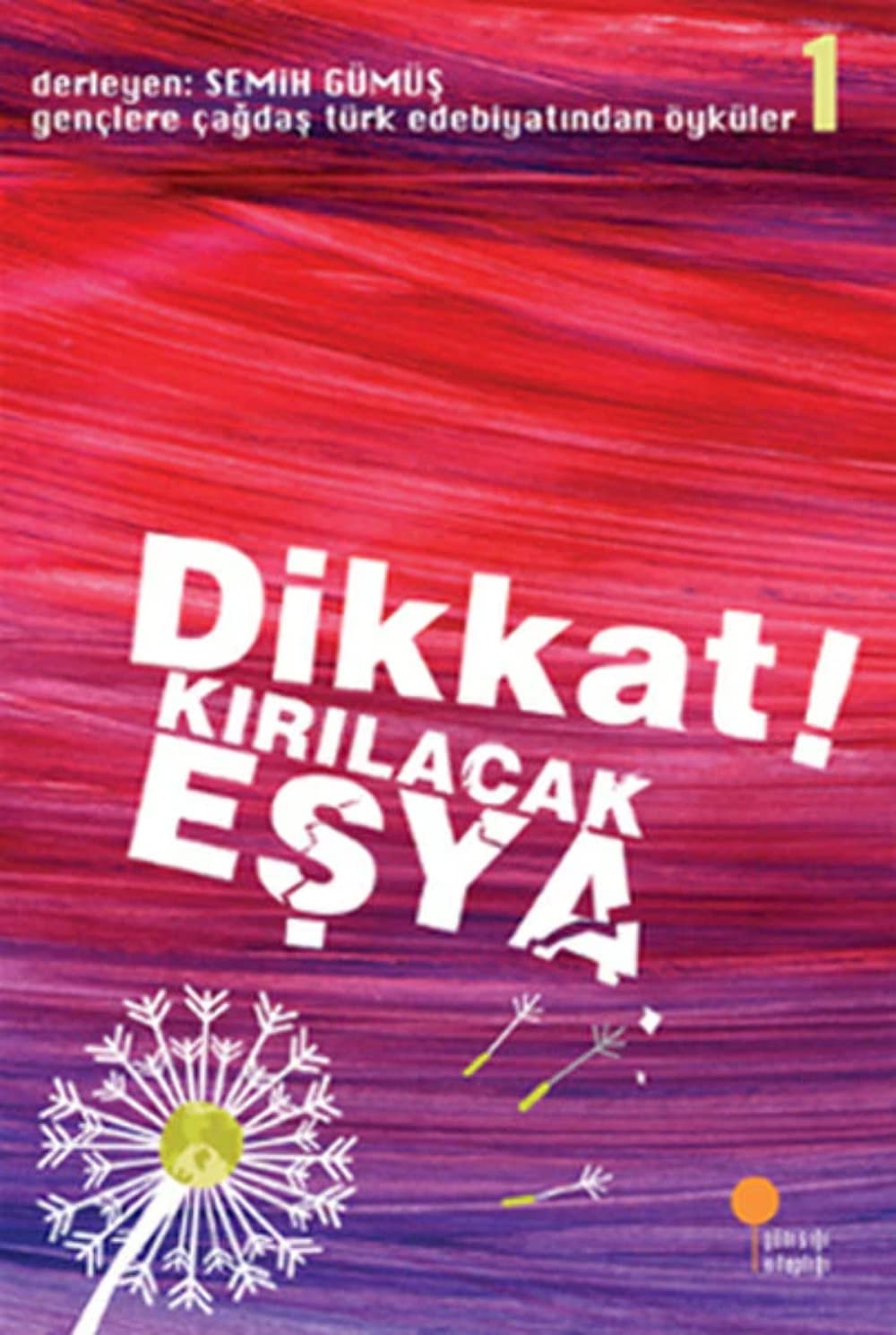 Gençlere çağdaş Türk edebiyatından öyküler: Dikkat! kırılacak eşya