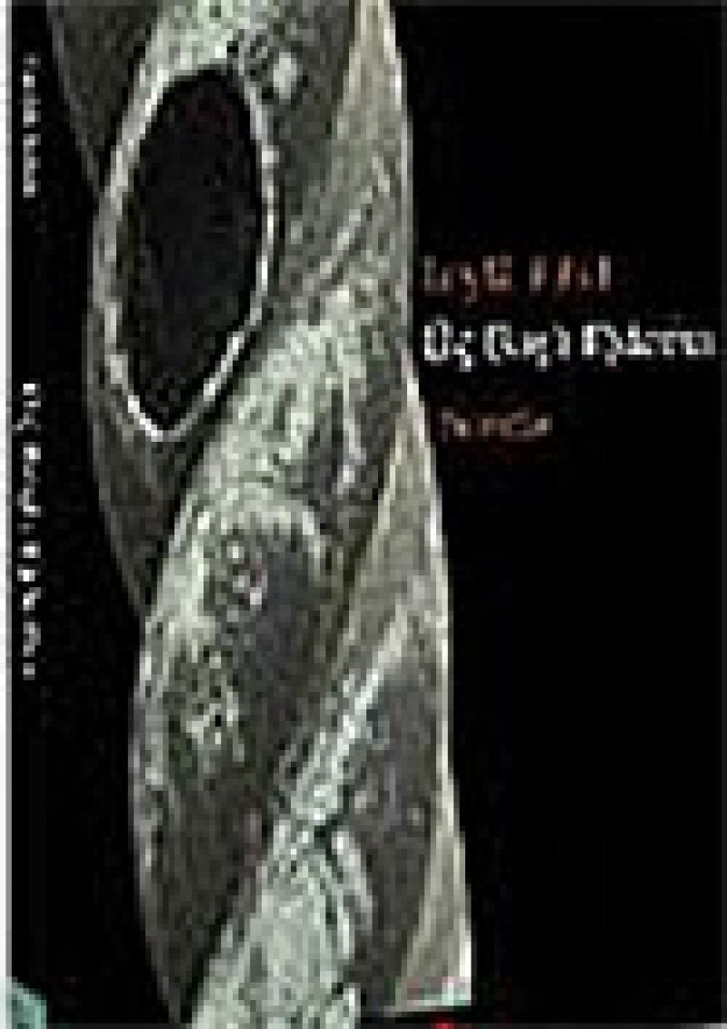 Uc Basli Ejderha Novella