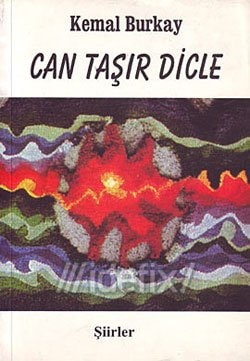 Can taşir dicle
