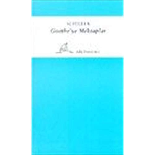Goethe'ye mektuplar