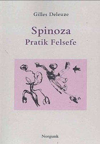 Spinoza, pratik felsefe