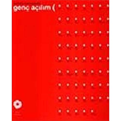 Gunumuz Turk Sanatinda Genc Acilim