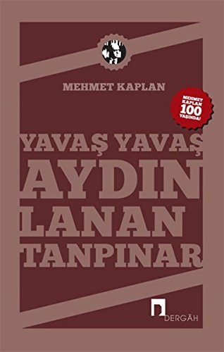 Yavaş yavaş aydınlanan Tanpınar