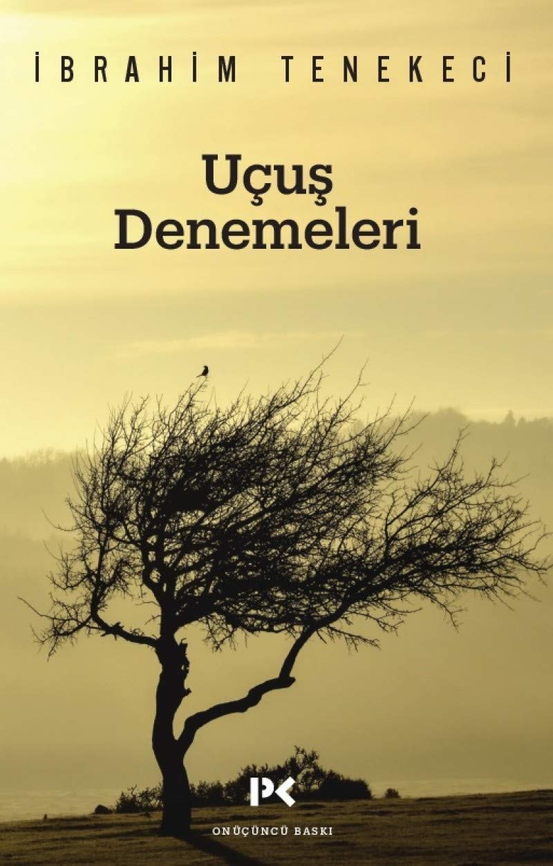 Uçuş denemeleri