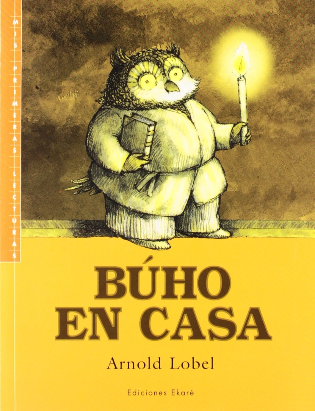 Buho En Casa (Owl at Home)