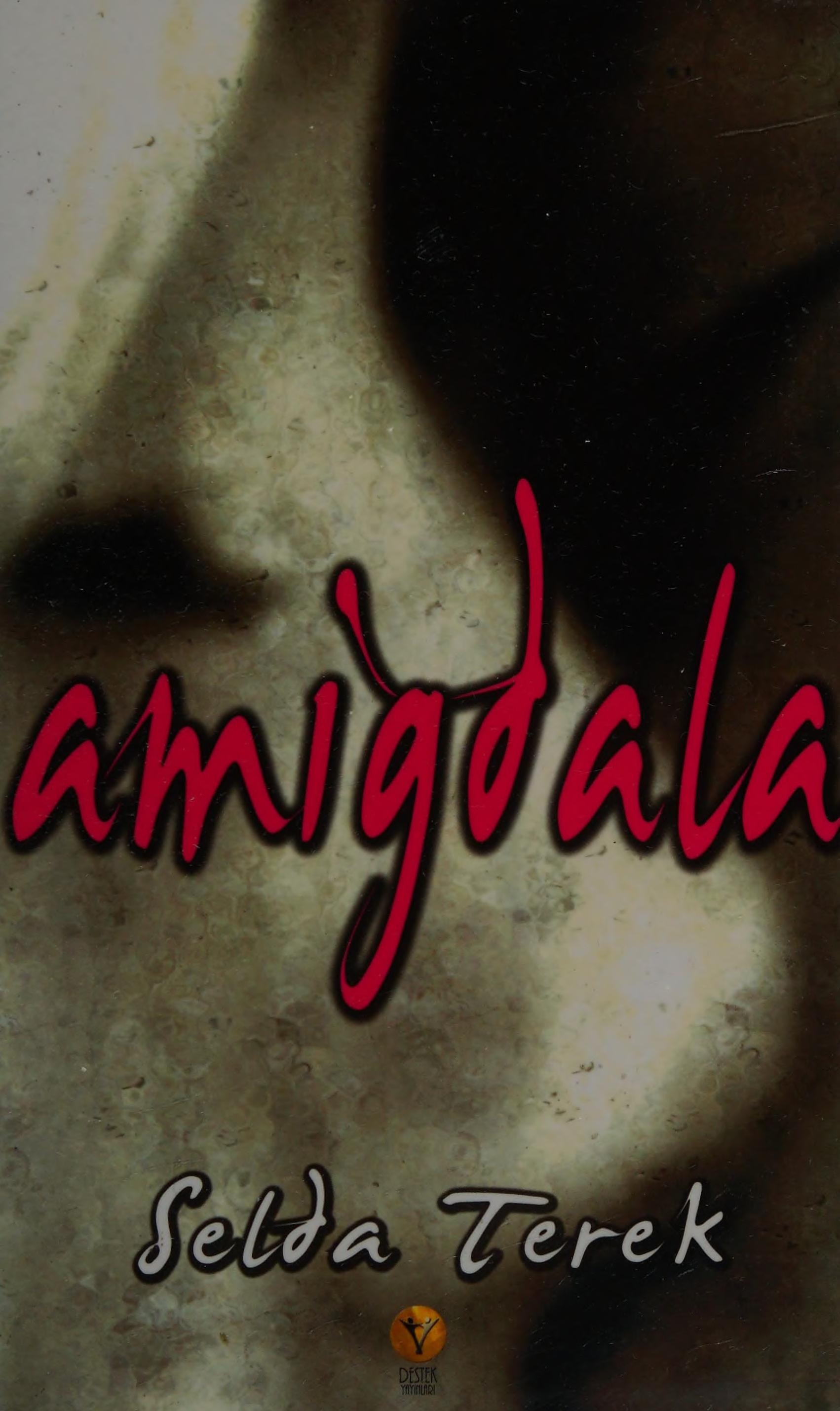 Amigdala