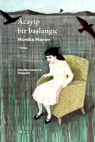 Acayip bir başlangıç roman