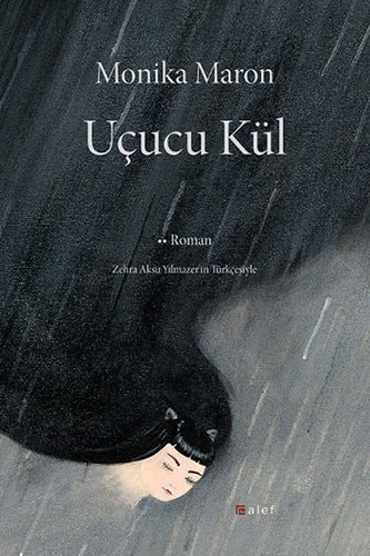 Uçucu kül Roman