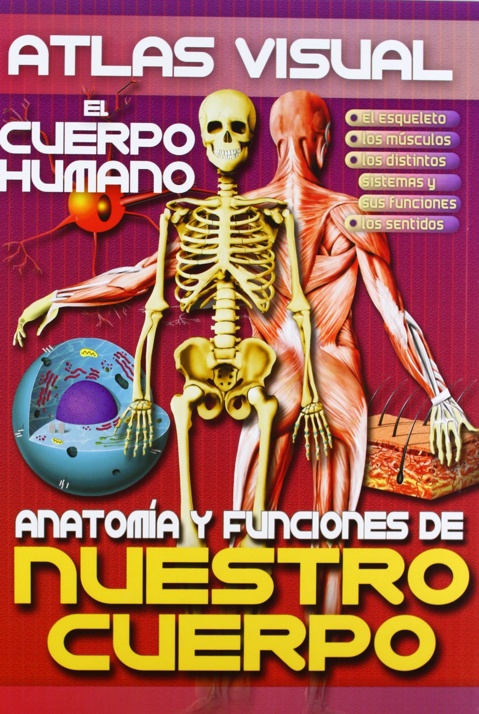 Atlas Visual Anatomia Y Funciones de Nuestro Cuerpo