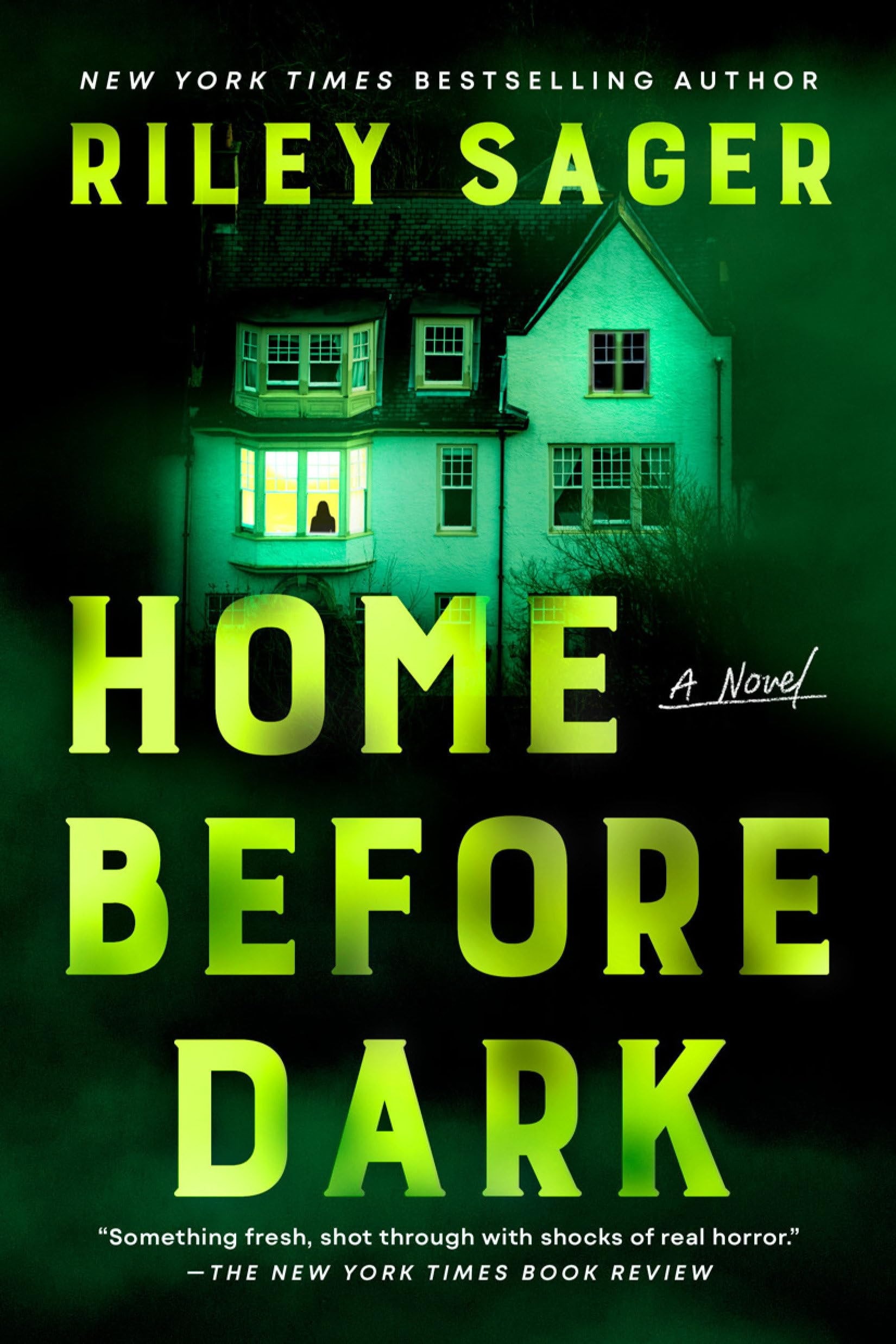 Home Before Dark A Novel