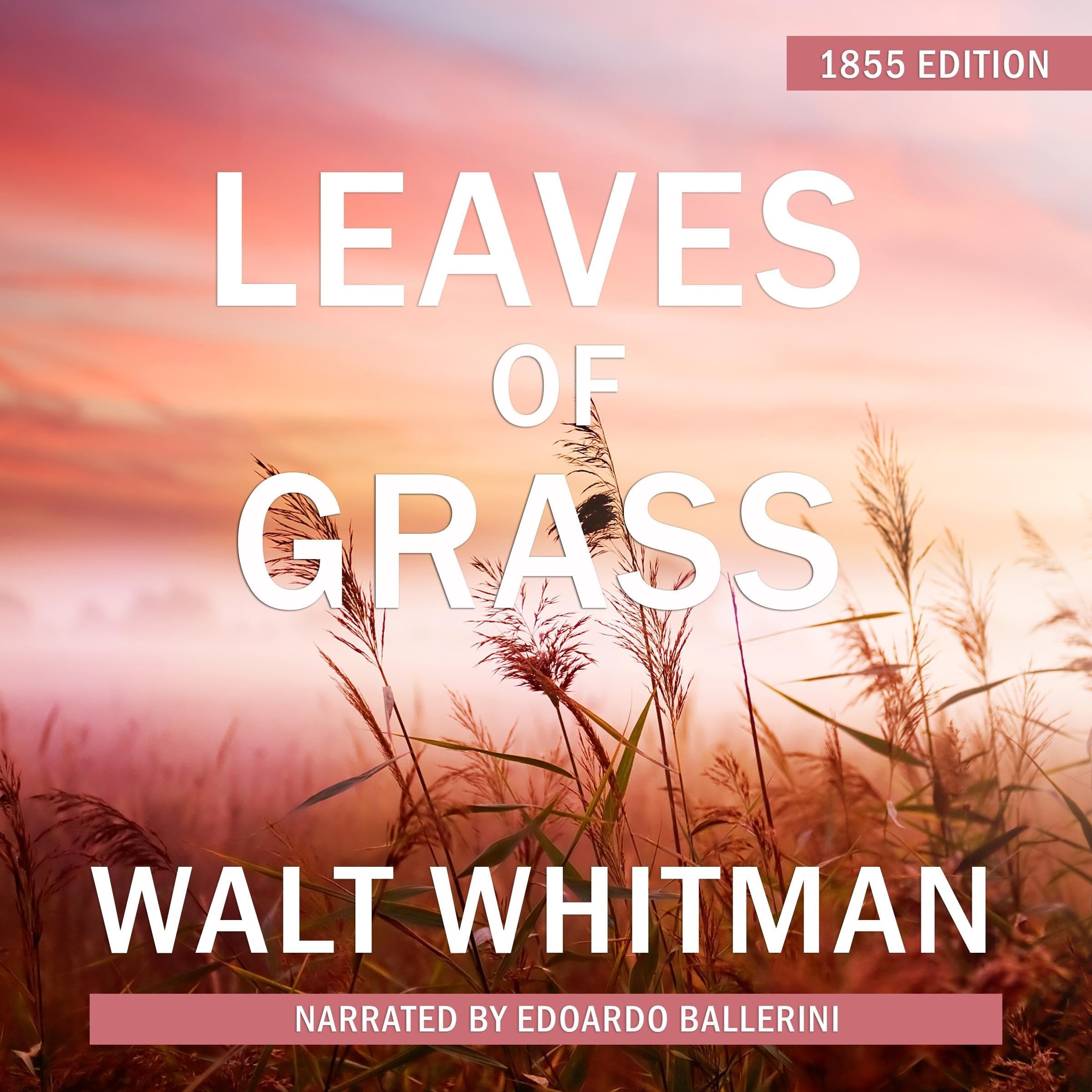 Leaves of Grass 1855 Edition