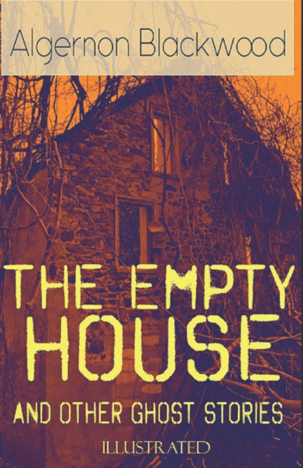 The Empty House and Other Ghost Illustrated