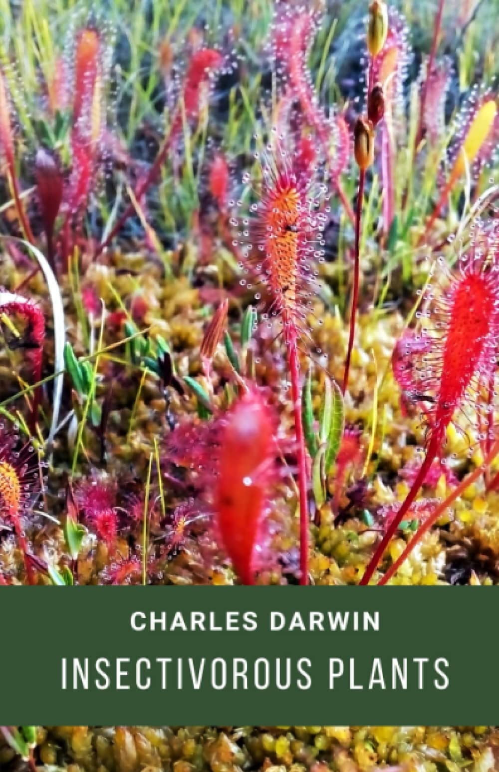 Insectivorous Plants