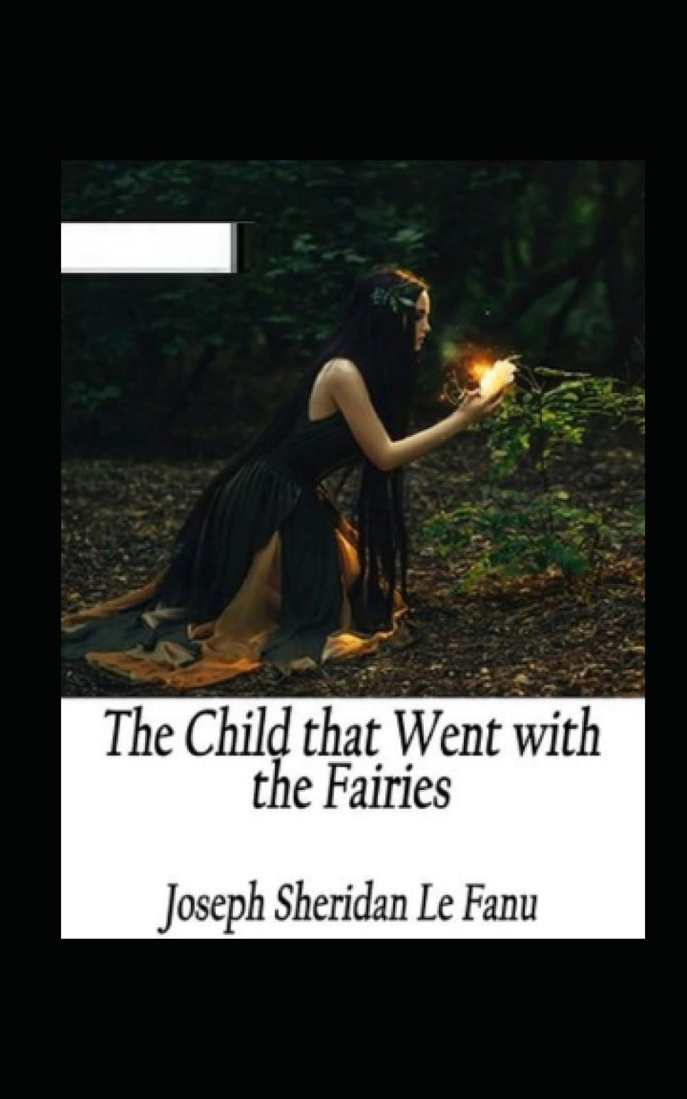The Child That Went With The Fairies Illustrated