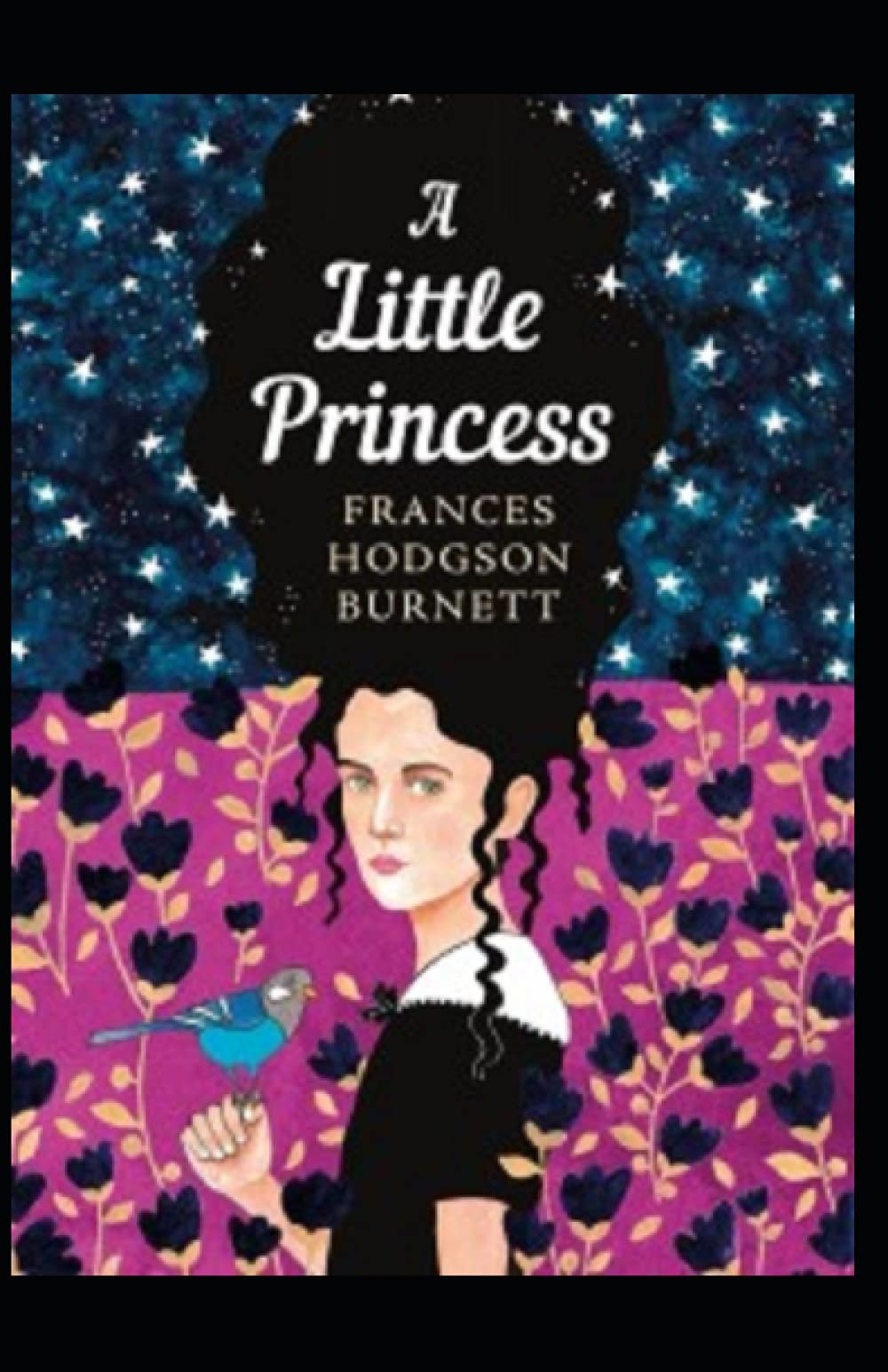A Little Princess Illustrated