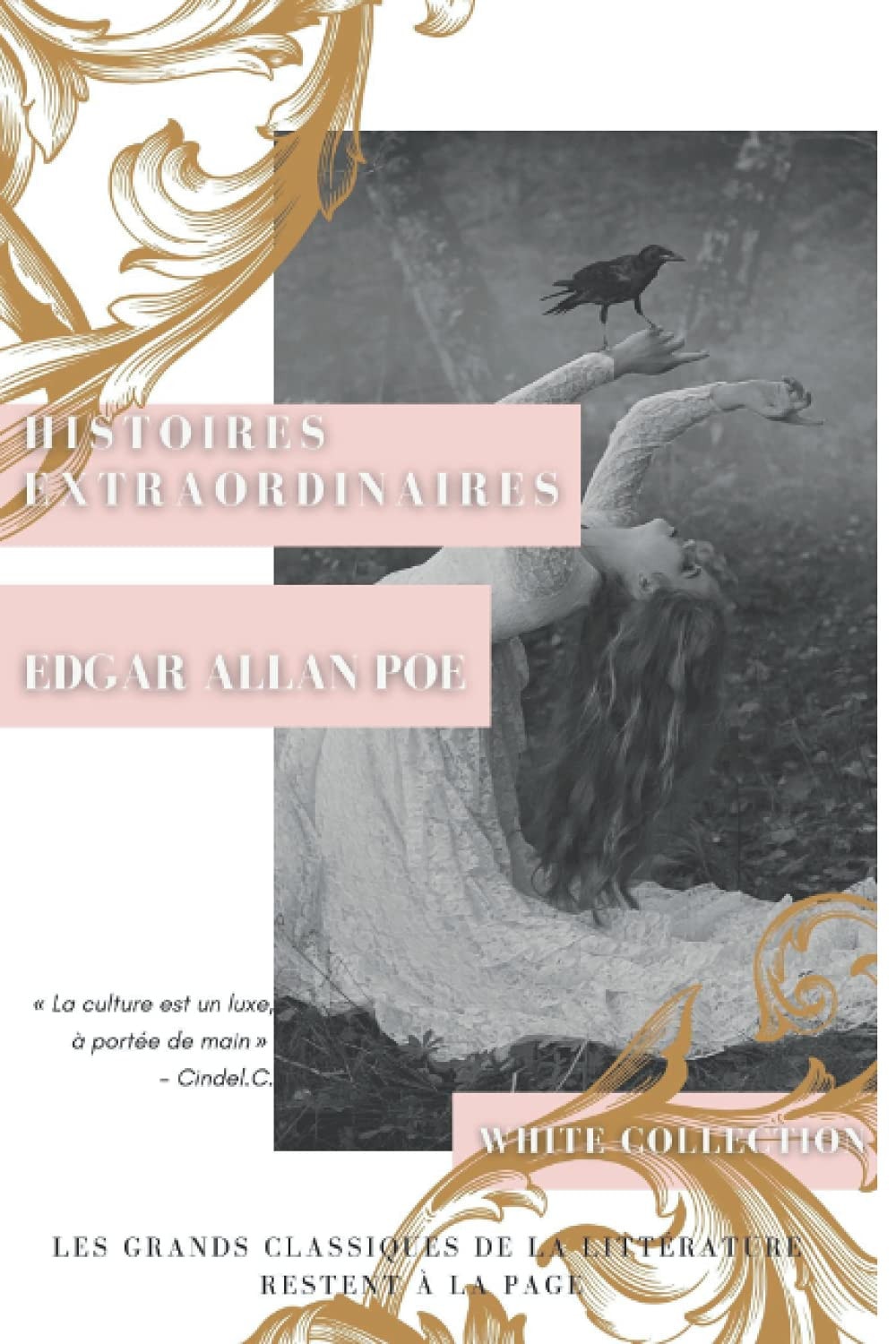 Histoires extraordinaires