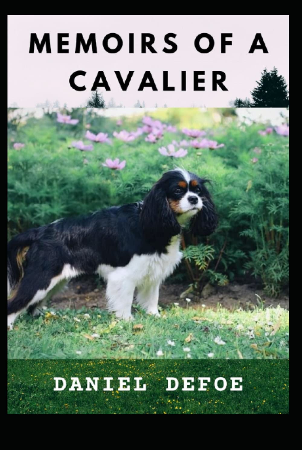 Memoirs of a Cavalier