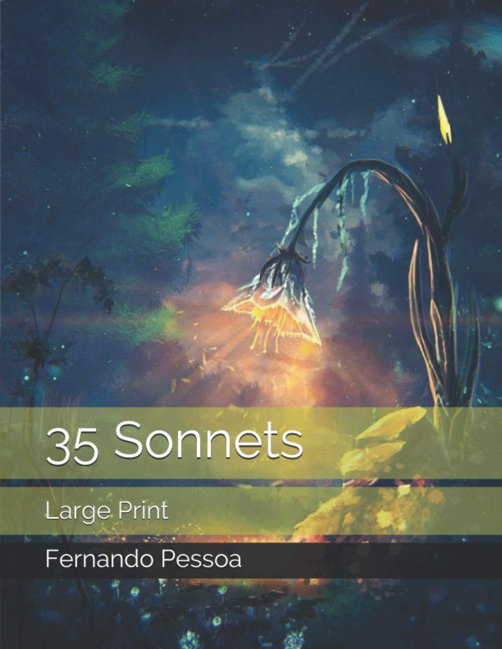 35 Sonnets Large Print