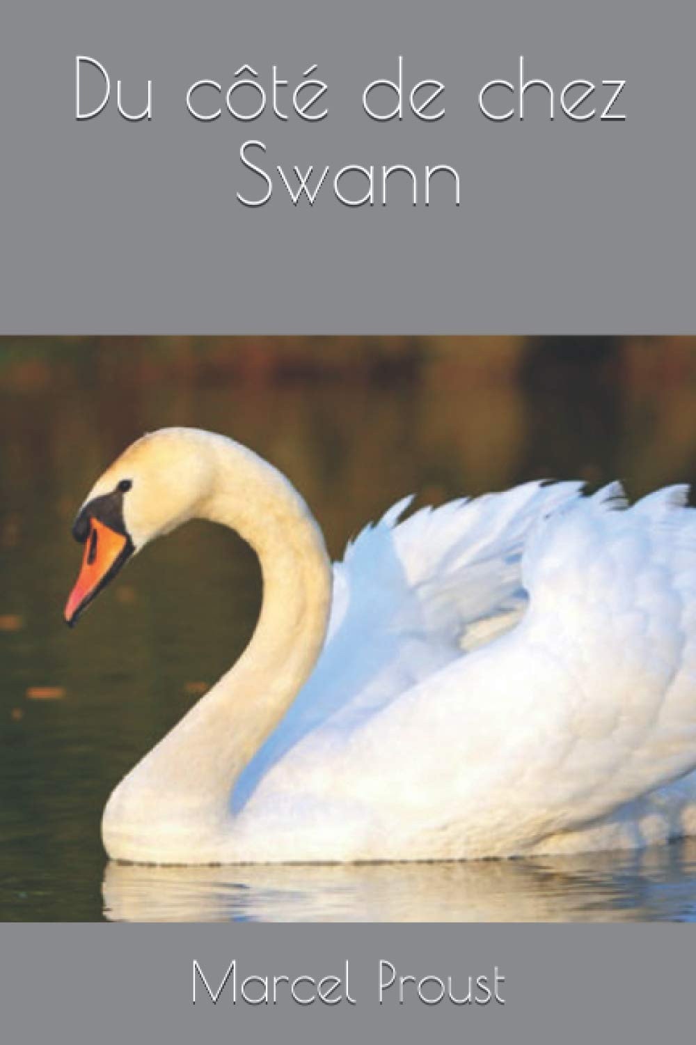 Du Côté de Chez Swann