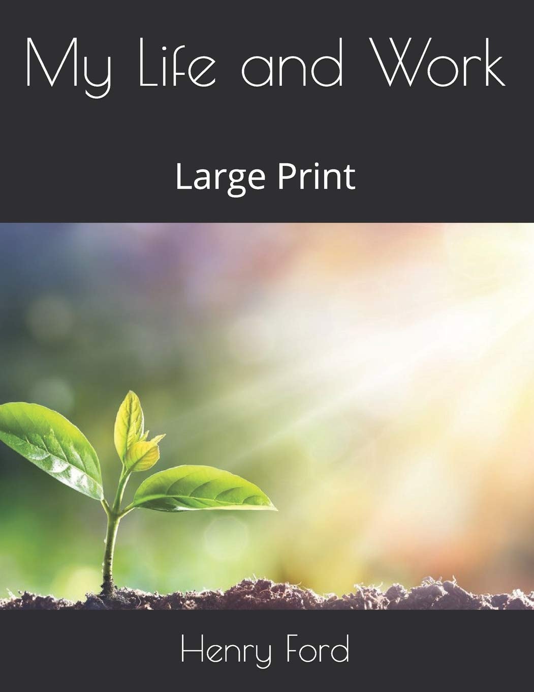My Life and Work Large Print