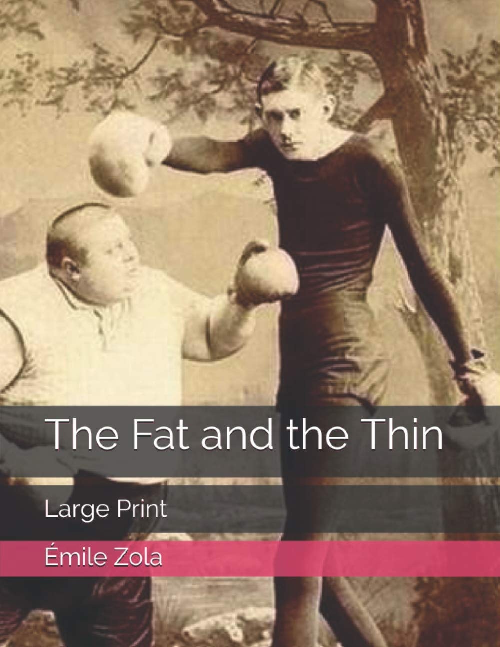 The Fat and the Thin Large Print