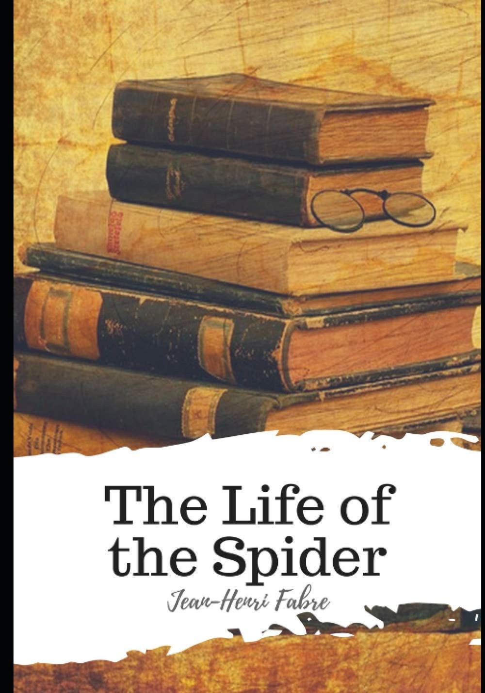 The Life of the Spider