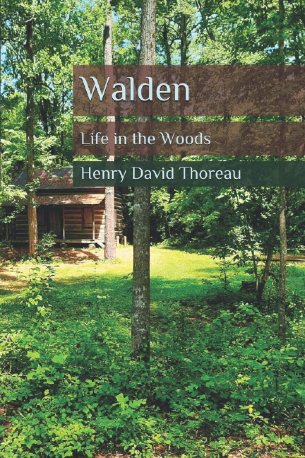 Walden Life in the Woods