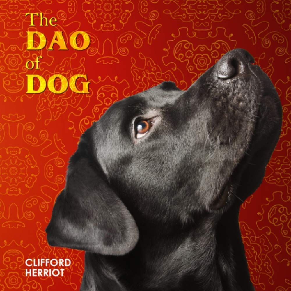 The Dao of Dog