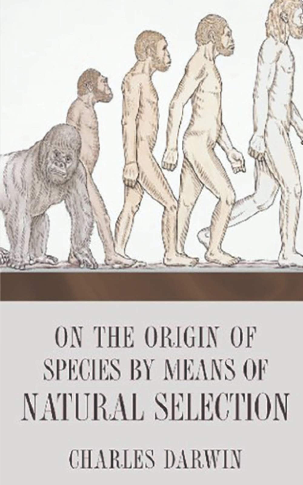 On the Origin of Species by Means of Natural Selection Or the Preservation of Favoured Races in the Struggle for Life