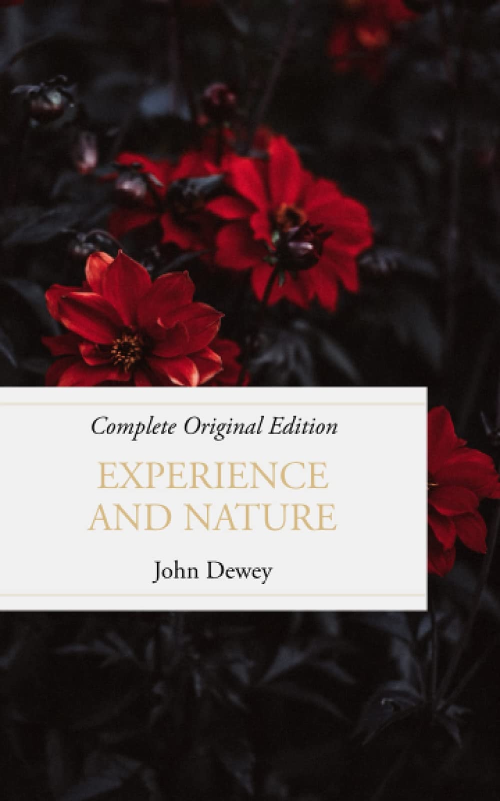 Experience and Nature