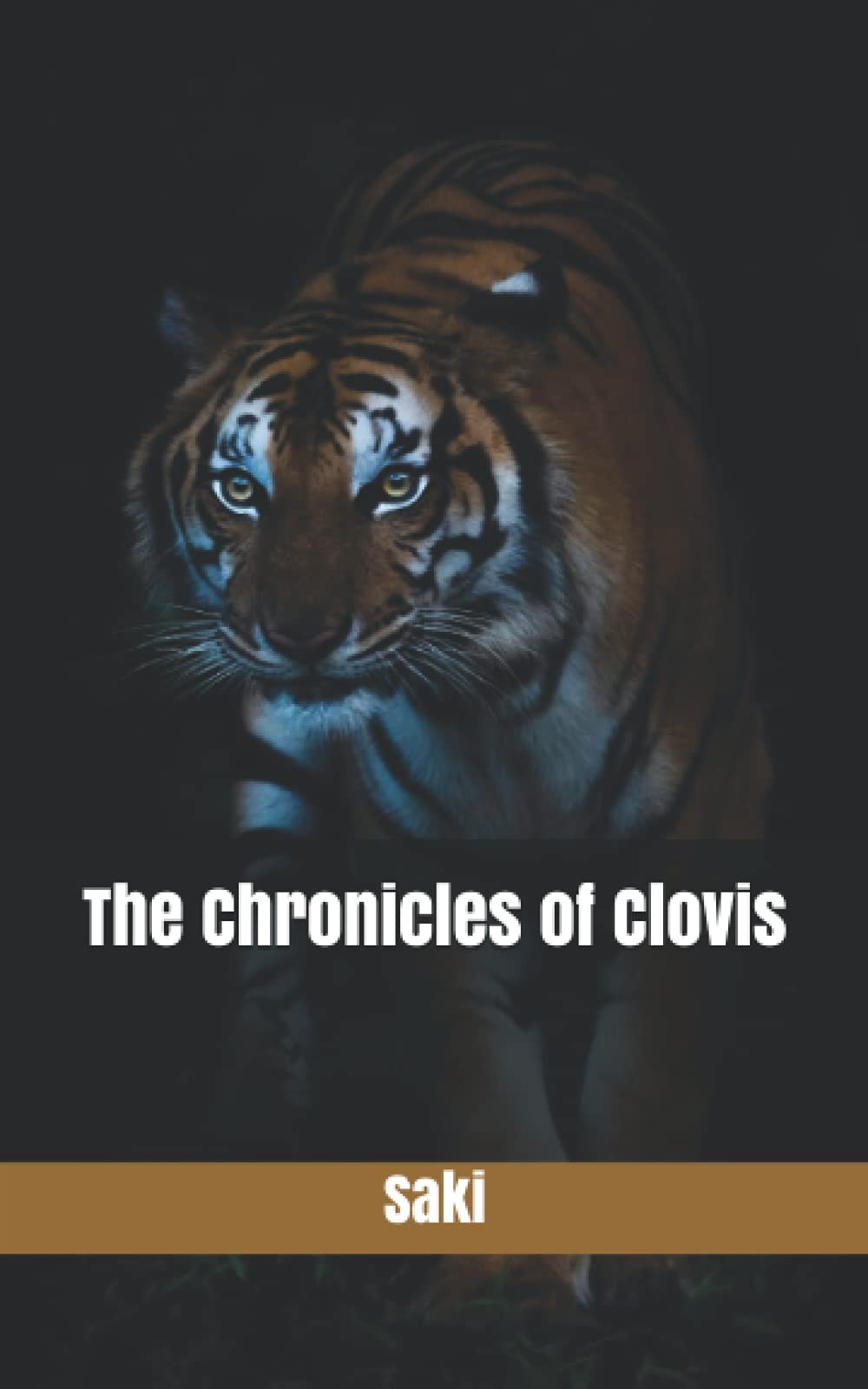 The Chronicles of Clovis