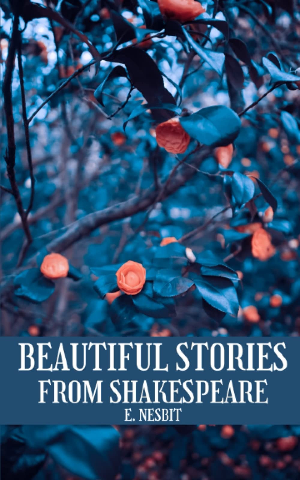 Beautiful Stories from Shakespeare