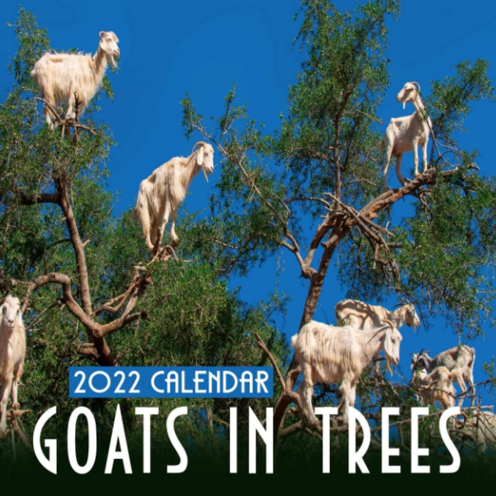 Goats in Trees Calendar 2022: January 2022 - December 2022 OFFICIAL Squared Monthly Calendar, 12 Months | BONUS 4 Months 2021