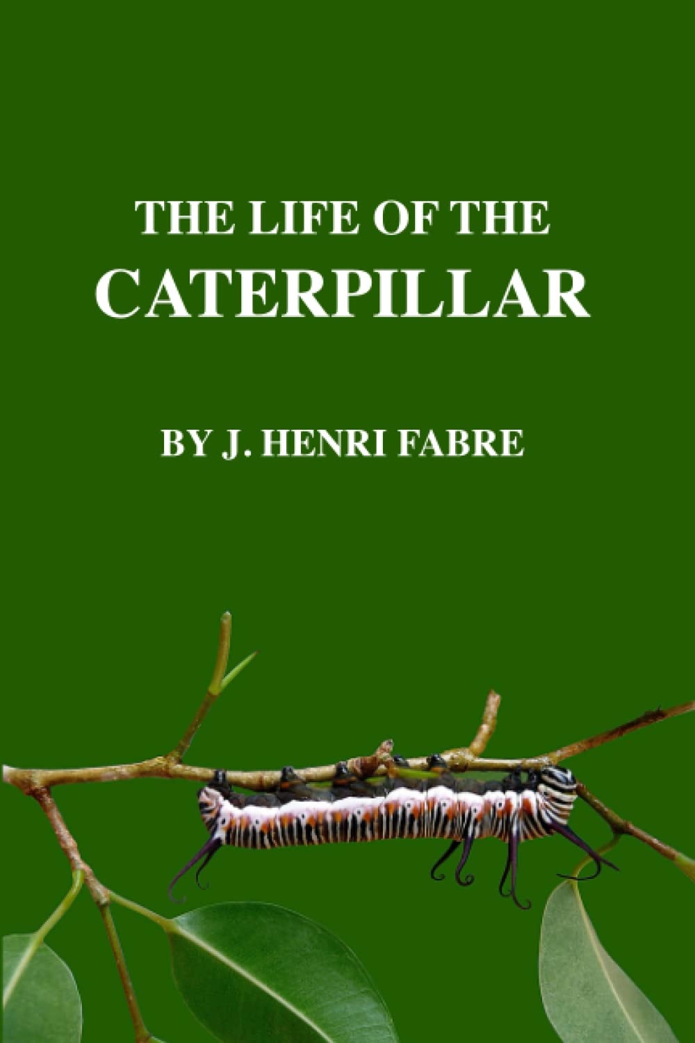 The Life of the Caterpillar