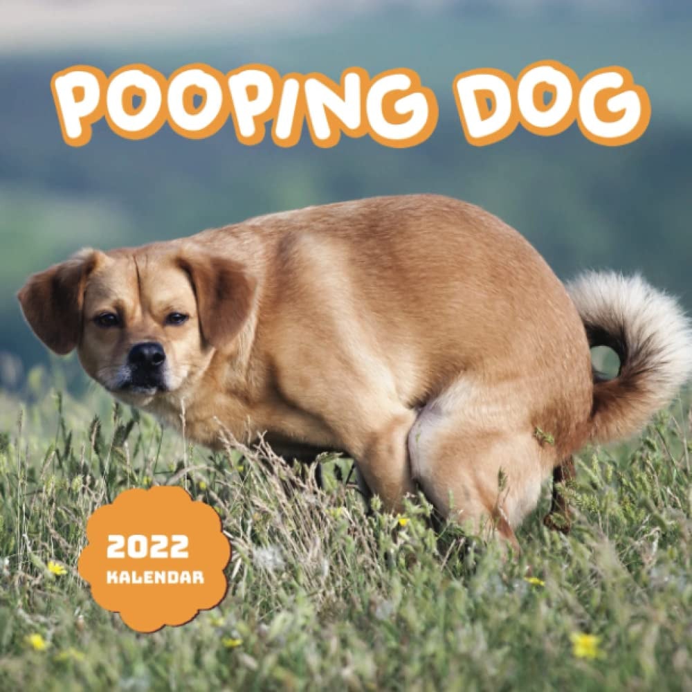 SCHERZGESCHENK: Kackender Hund Komisch 2022 Kalender: Lustiger frecher Geschenkkalender 2022 | Weihnachten Neujahr Lustige Geschenke | Offizielle Feiertage, Mini Planer | BONUS 4 Monate 2023