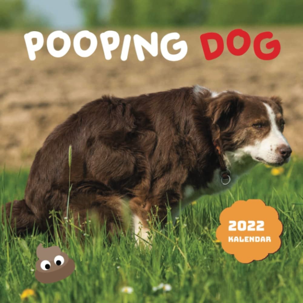 SCHERZGESCHENK: Kackender Hund Komisch 2022 Kalender: Weihnachts Gag Geschenke 2022 Kalender | Ein tolles Geschenk, um ein neues Jahr zu begrüBen | Bonus 4 Monate 2023
