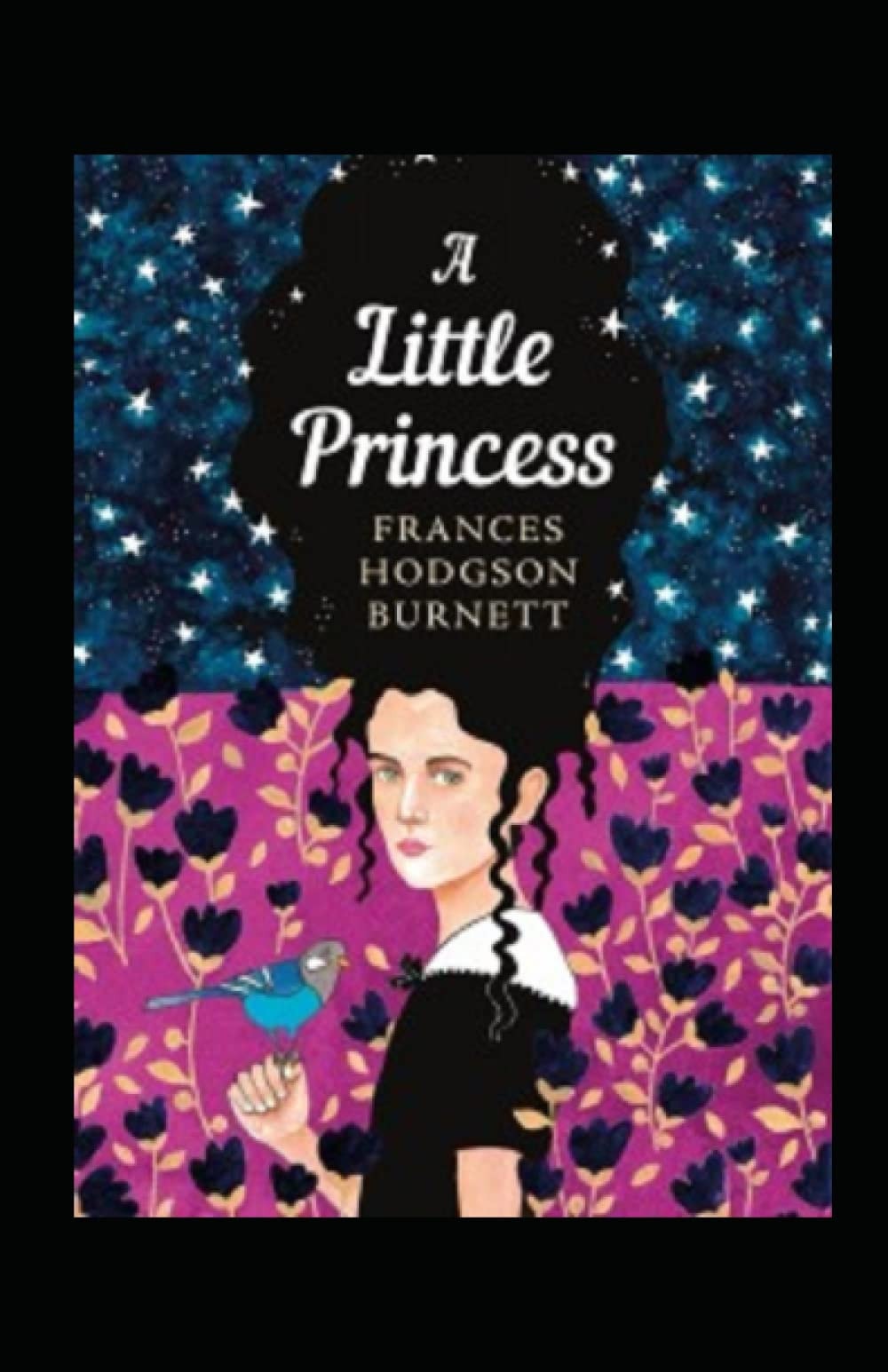A Little Princess Illustrated