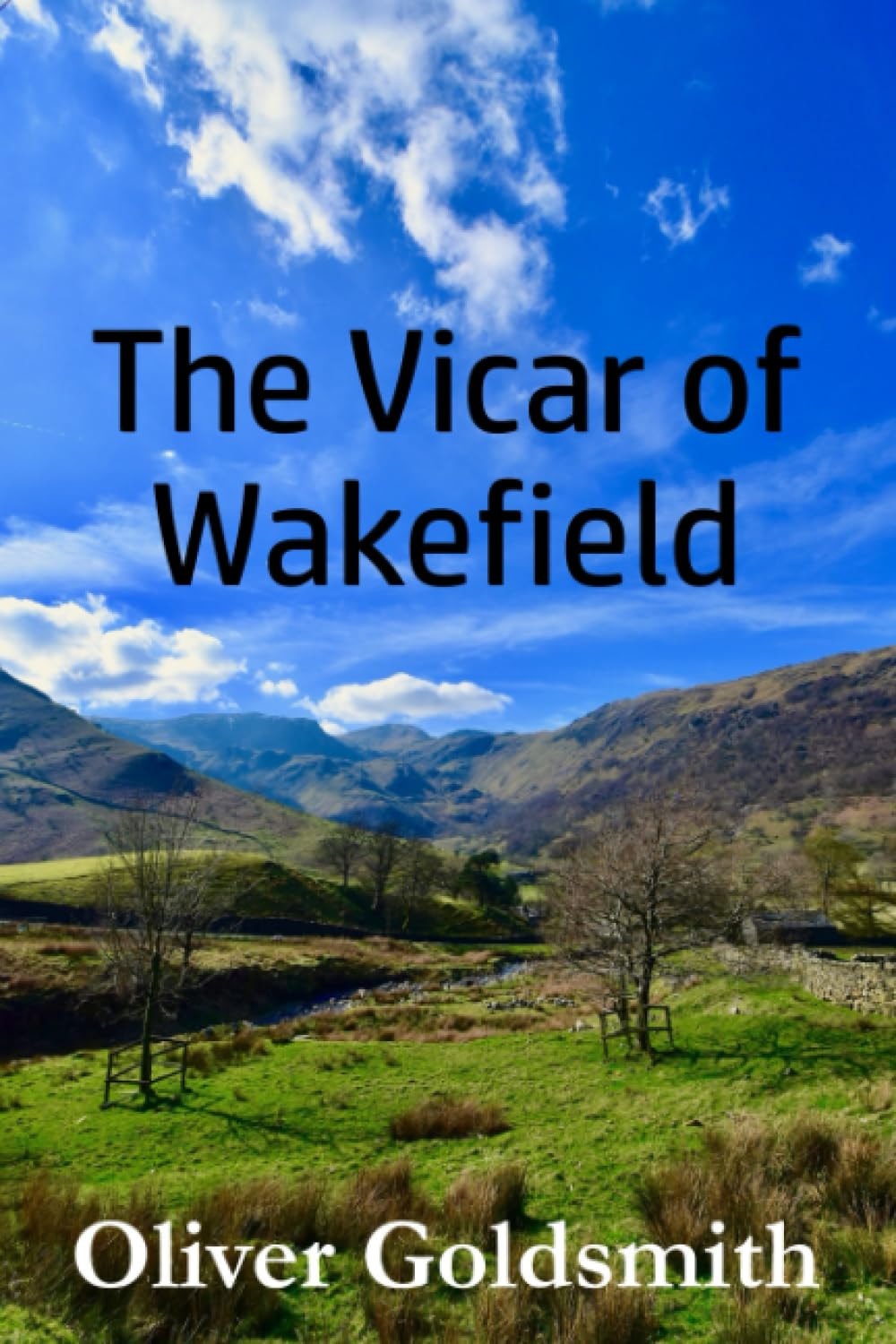 The Vicar of Wakefield