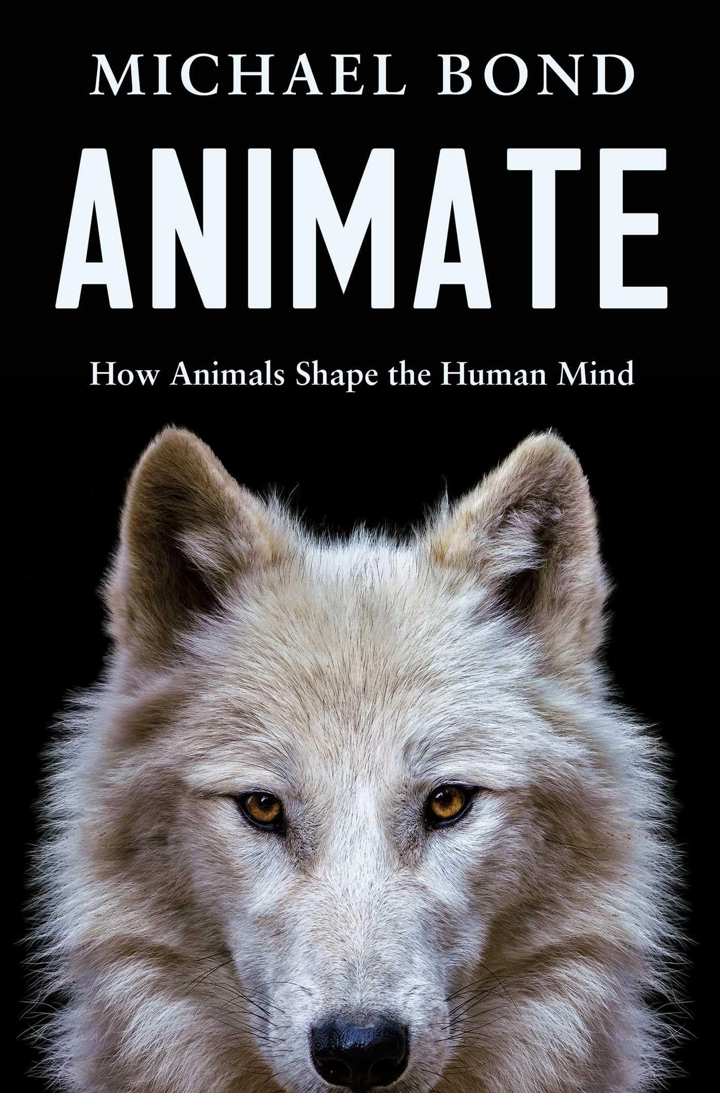 Animate How Animals Shape the Human Mind