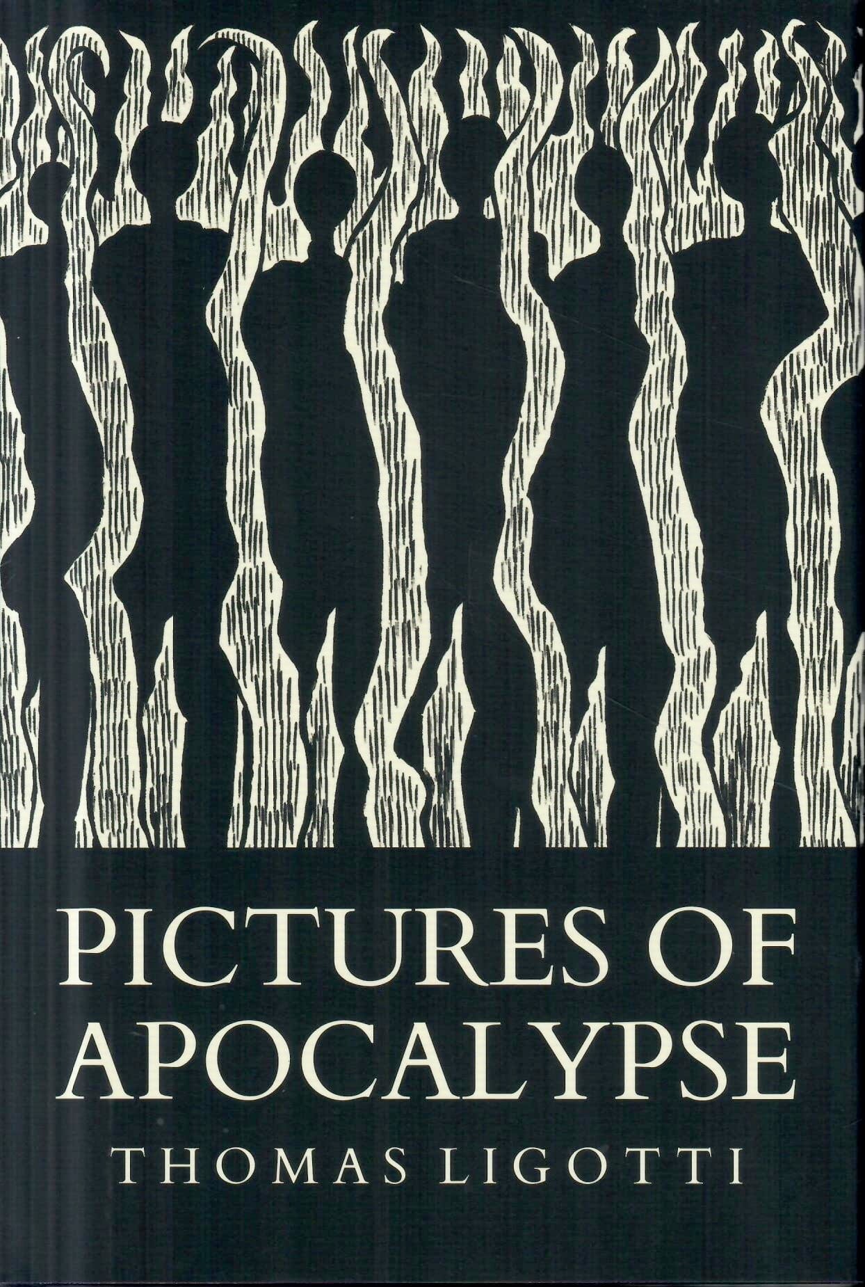 Pictures of Apocalypse
